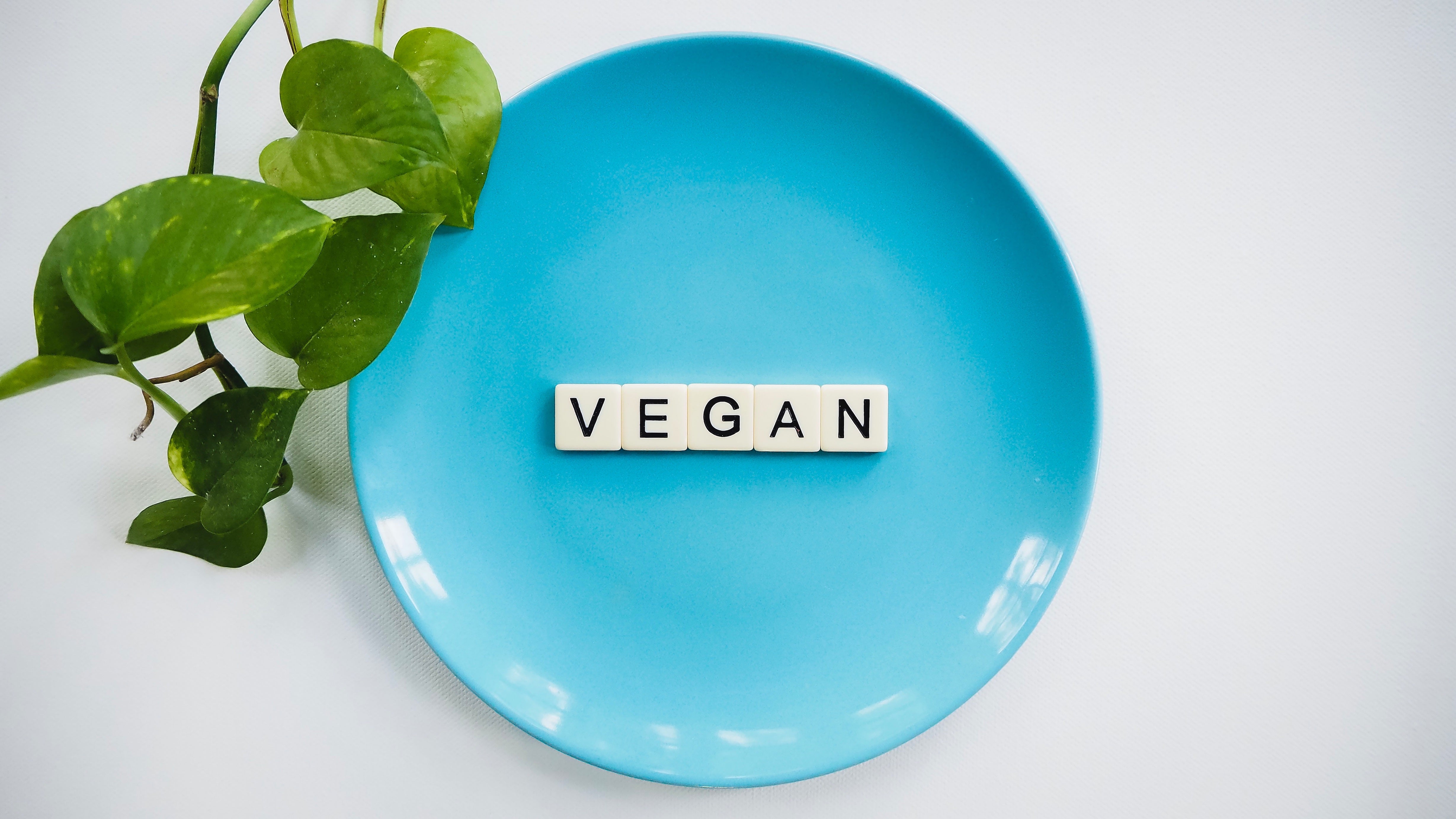 Vegan Diets: A Guide for Young Athletes